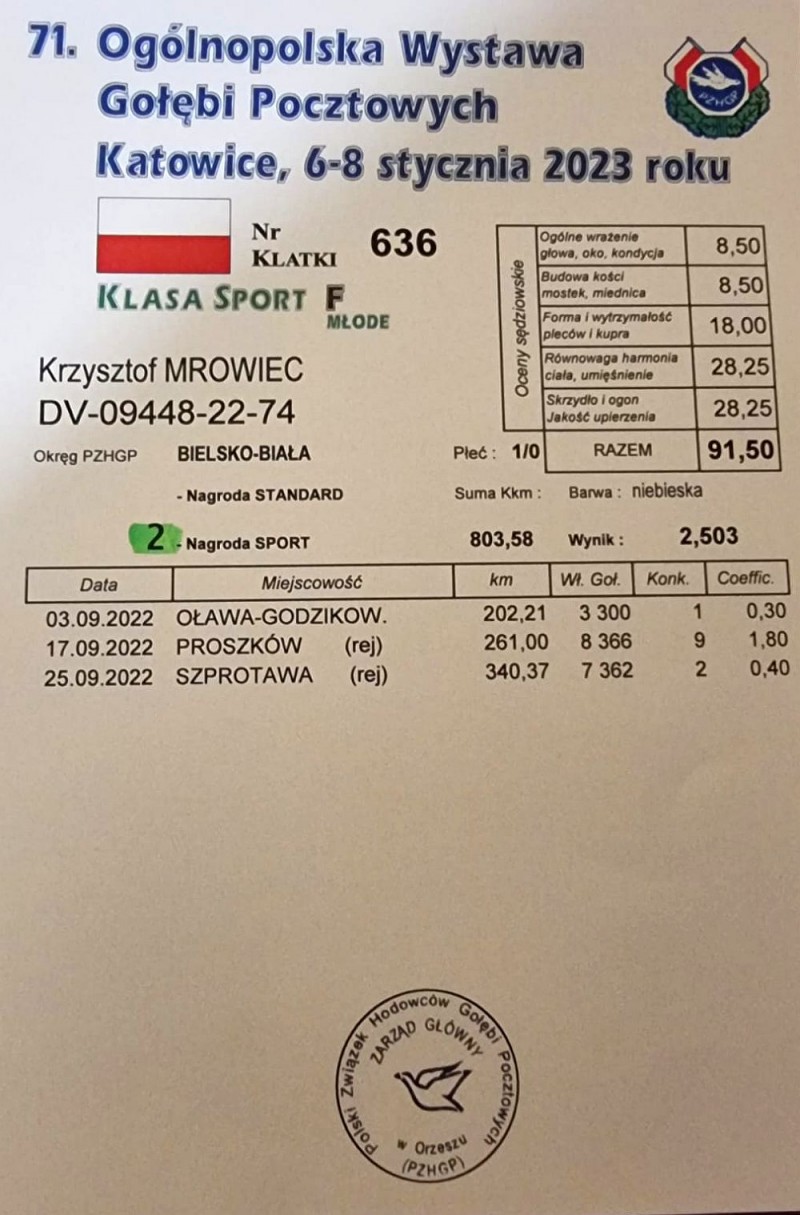 Zdjęcie w galerii