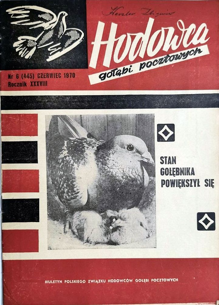 Zdjęcie w galerii