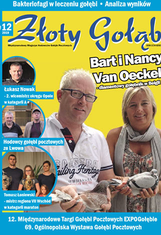 Zdjęcie w galerii