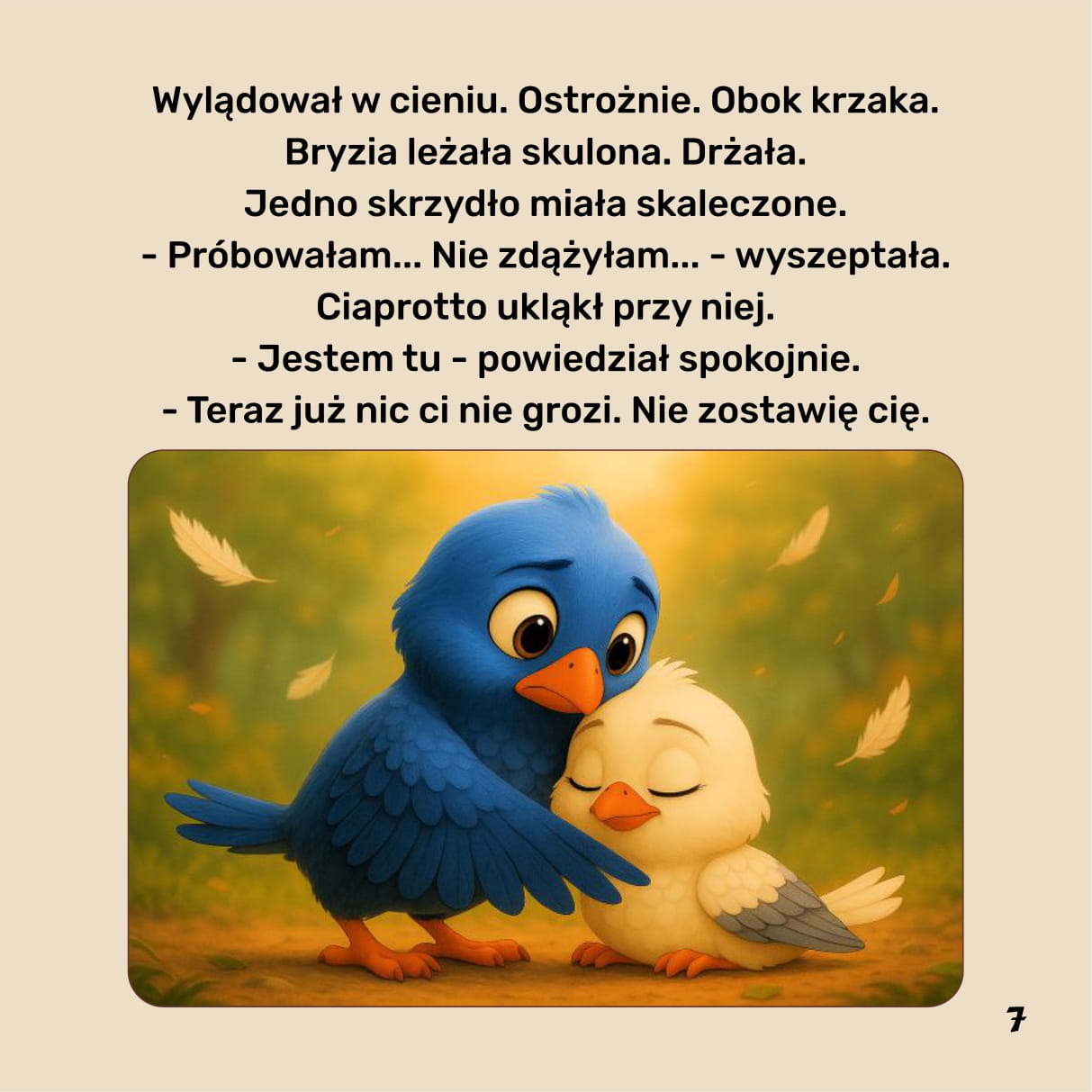 Zdjęcie w galerii