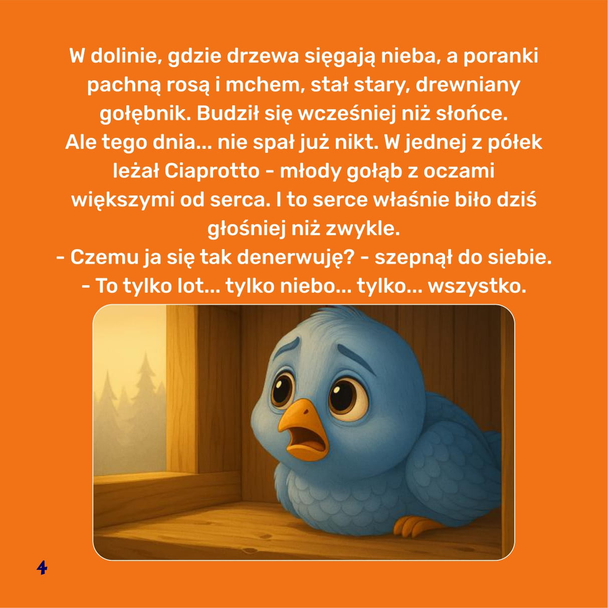 Zdjęcie w galerii